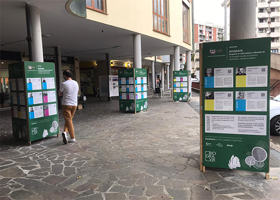 L'Arte nel Portico. Edizione 2020 | Locandina