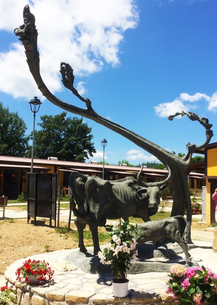 Il Foro | La Storia. La Mucca con Vitello