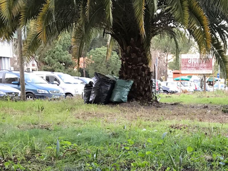 Valorizzazione del territorio | Termine pulizie