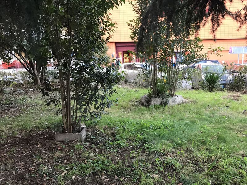 Valorizzazione del territorio | Termine pulizie